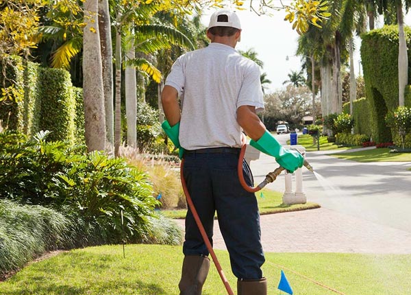 About Dwight KS Pest Control Pros